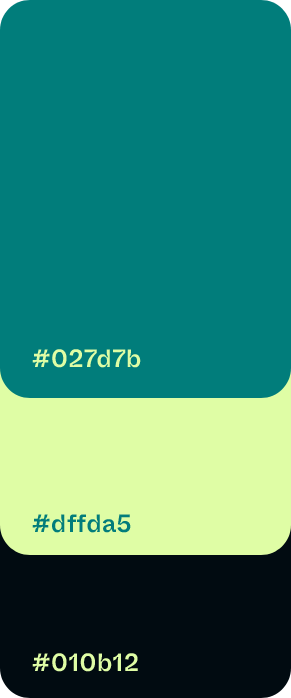 Project image 6