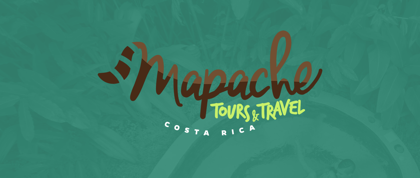 Project Banner